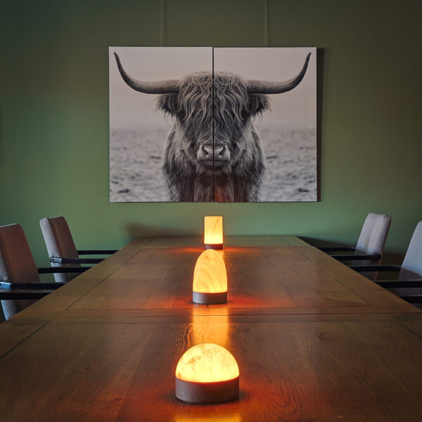 tafellamppen van dorsetto op teetafel met mooie bizon op de achtergrond
